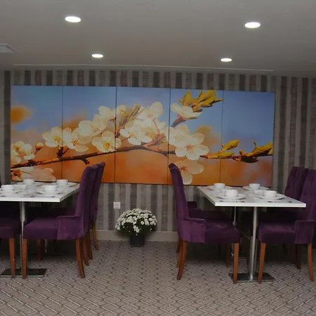 Hotel Koza Millenyum Ankara