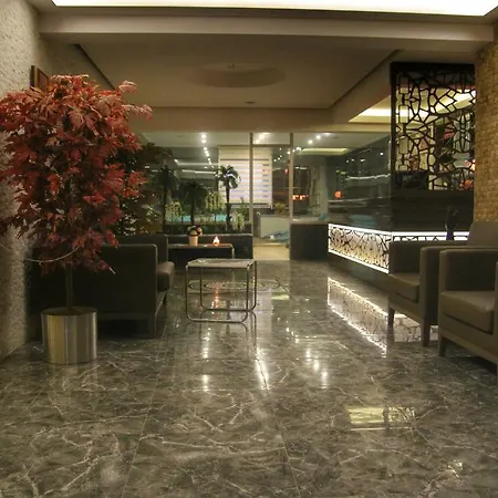 Hotel Koza Millenyum 4*